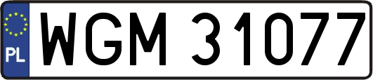 WGM31077