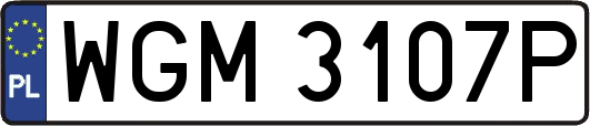 WGM3107P