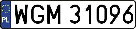WGM31096