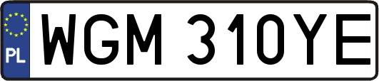 WGM310YE