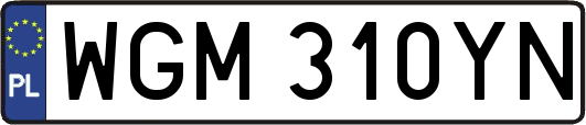 WGM310YN