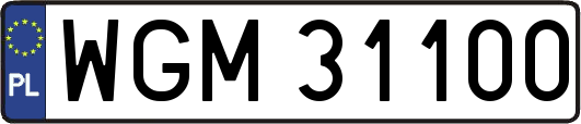 WGM31100