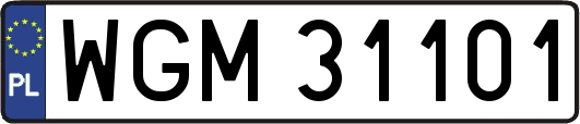 WGM31101