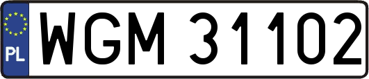 WGM31102