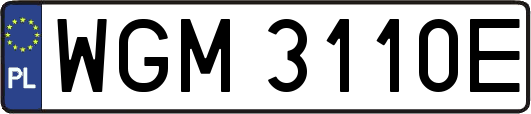 WGM3110E