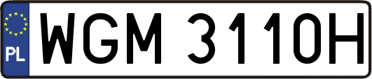 WGM3110H