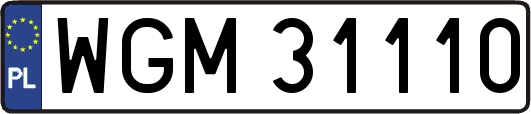 WGM31110