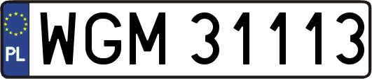 WGM31113