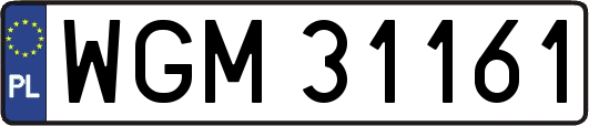 WGM31161