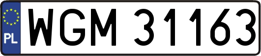 WGM31163