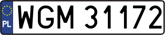WGM31172