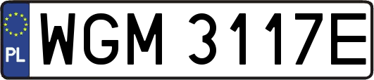 WGM3117E