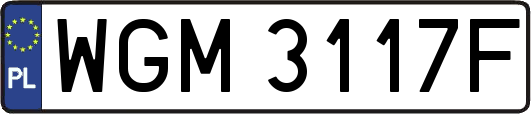 WGM3117F