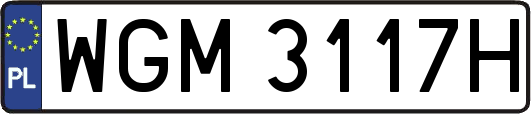 WGM3117H