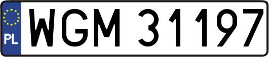 WGM31197