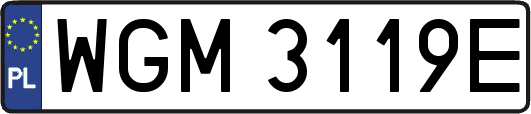 WGM3119E