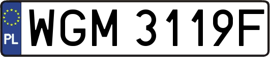 WGM3119F