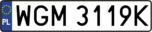 WGM3119K