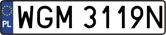 WGM3119N