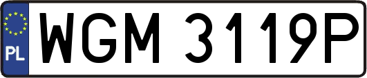 WGM3119P
