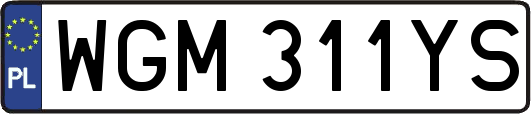 WGM311YS
