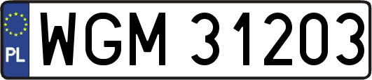 WGM31203
