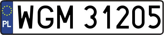 WGM31205