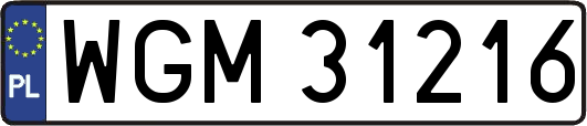 WGM31216