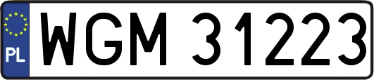 WGM31223