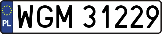 WGM31229