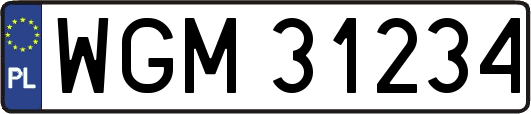 WGM31234