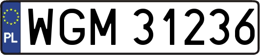 WGM31236