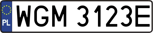 WGM3123E