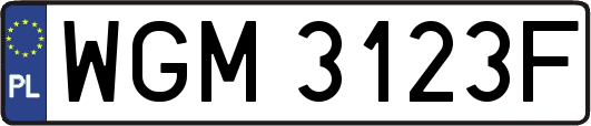 WGM3123F