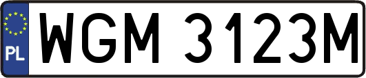WGM3123M