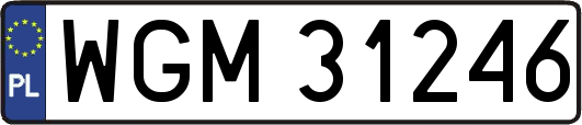 WGM31246