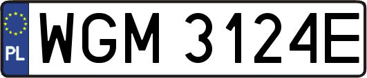 WGM3124E