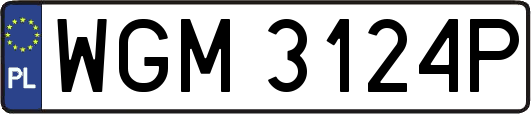 WGM3124P