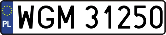 WGM31250