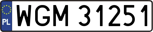 WGM31251