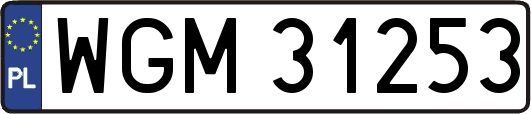 WGM31253