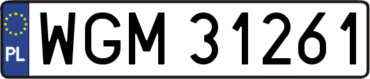 WGM31261