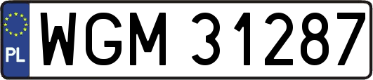 WGM31287