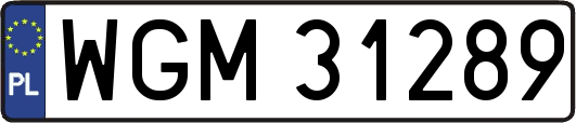 WGM31289