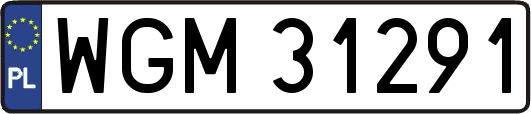 WGM31291