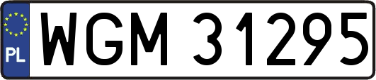 WGM31295