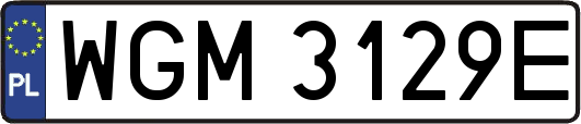 WGM3129E