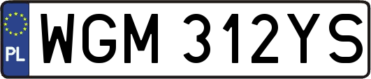 WGM312YS