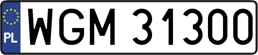 WGM31300
