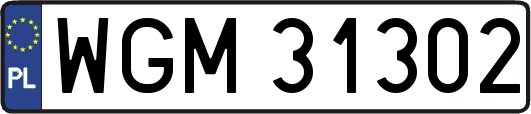 WGM31302